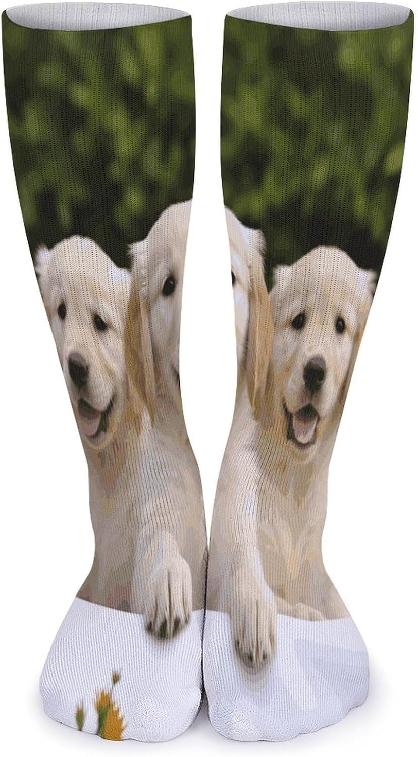 Golden Retriever Puppies Stocking - Cute Casual Long Athletic,Crew Sock for Men Women,Running Socks Soft Breathable for Gift
