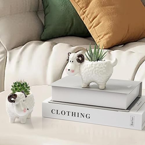 Miniatura 4 de Adorable maceta de cerámica para suculentas  Maceta de interior con drenaje  Contenedor de cerámica blanca para cactus  flores para decoración del