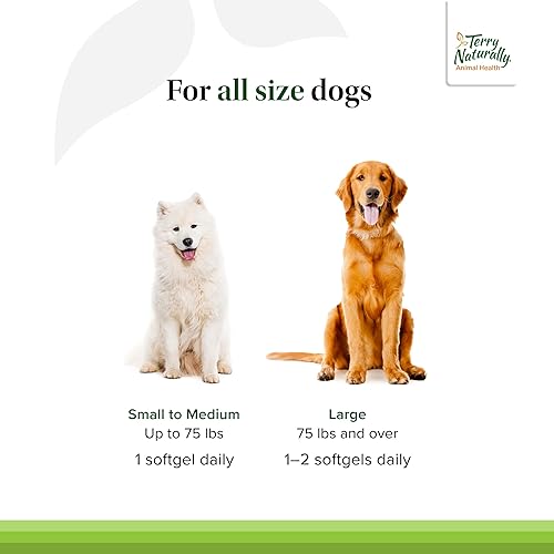 Miniatura 4 de Terry Naturally Curacel Curcumin - Suplemento de salud para perros - Suministros de curcumina para mascotas - Suplemento de salud celular