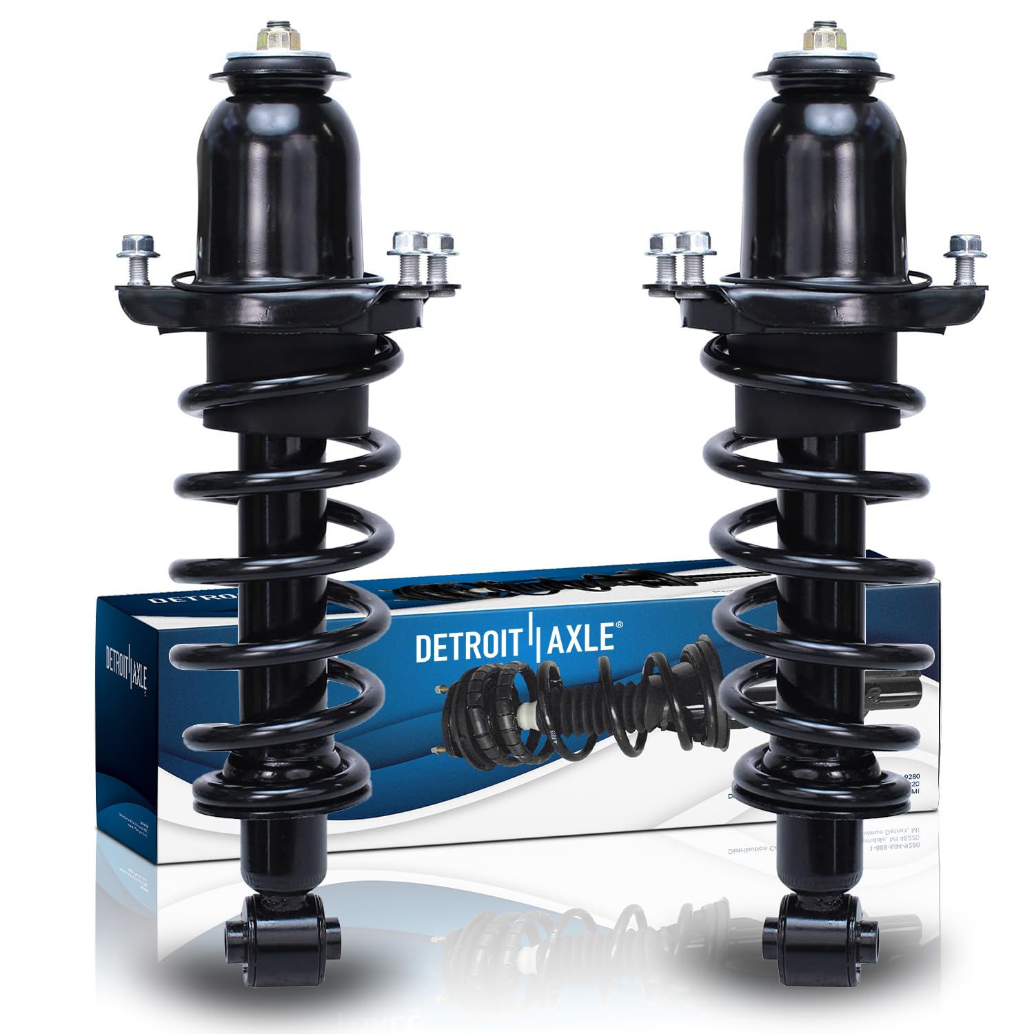 Detroit Axle - 2pc Rear Struts for 2005 2006 2007 2008 2009 2010 Scion tC