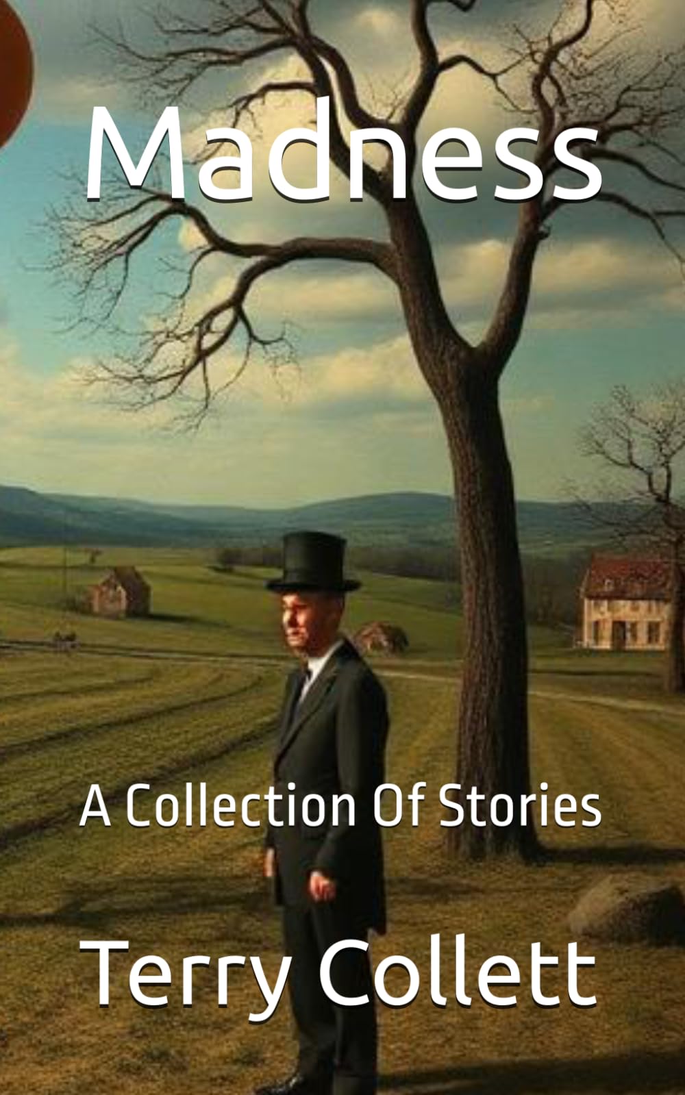 Madness: A Collection Of Stories