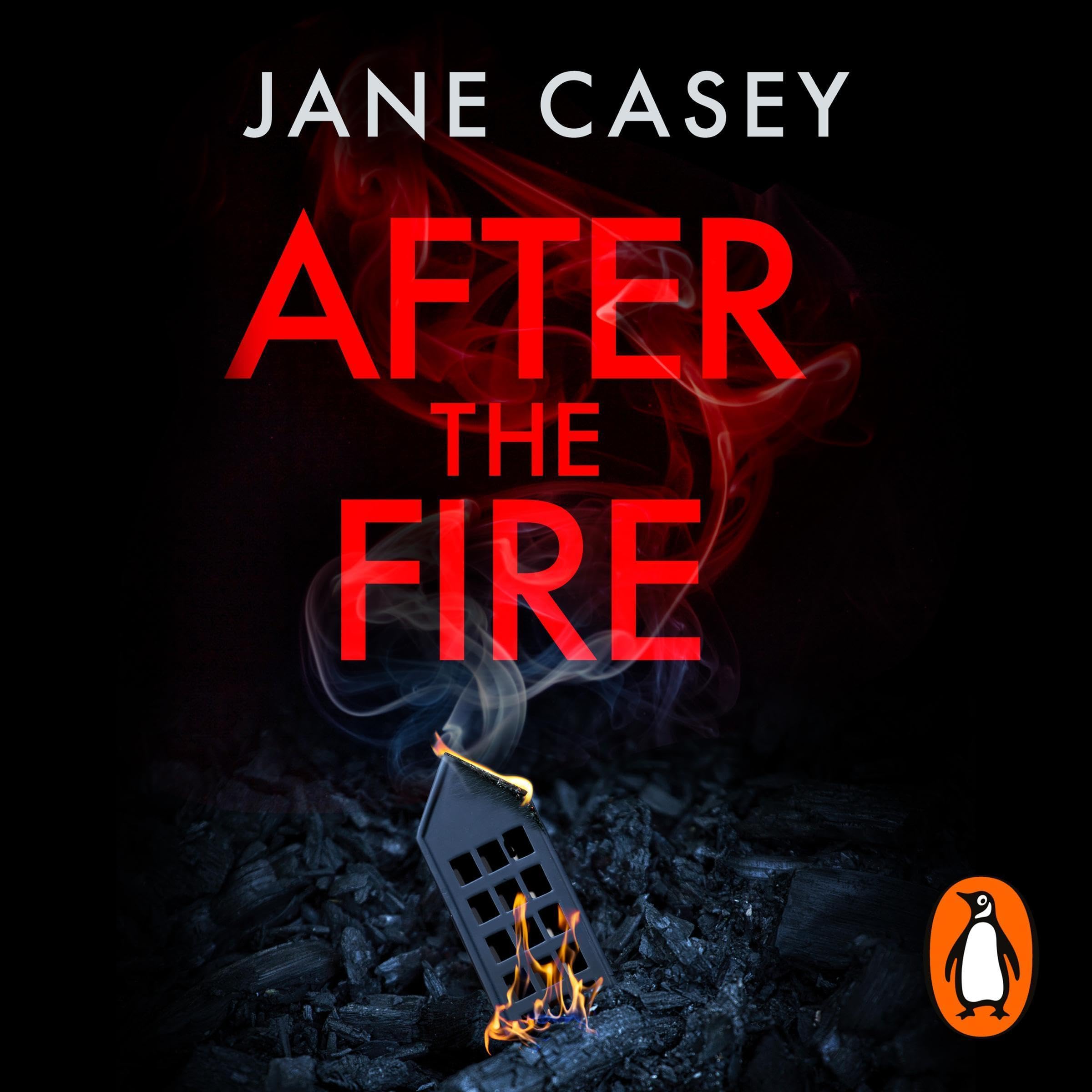 Cover art for After the Fire