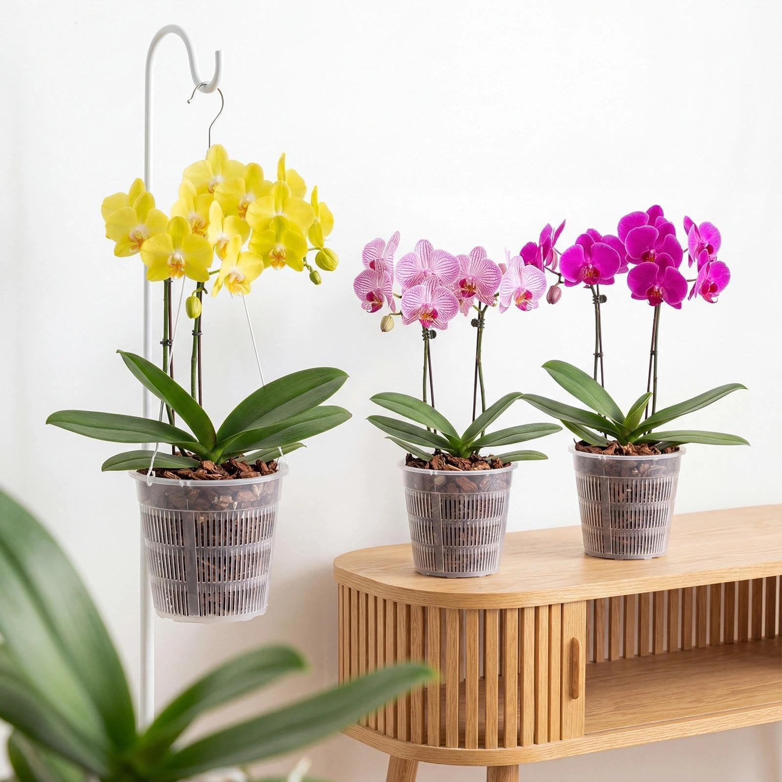 Set da 9 Vasi Trasparenti per Orchidee in Plastica, 11/14/16 cm con Foro di Drenaggio, Vasi per Piante da Interno, Fioriere, Balcone e Giardino, Cachepot per Orchidee e Piante da Appartamento