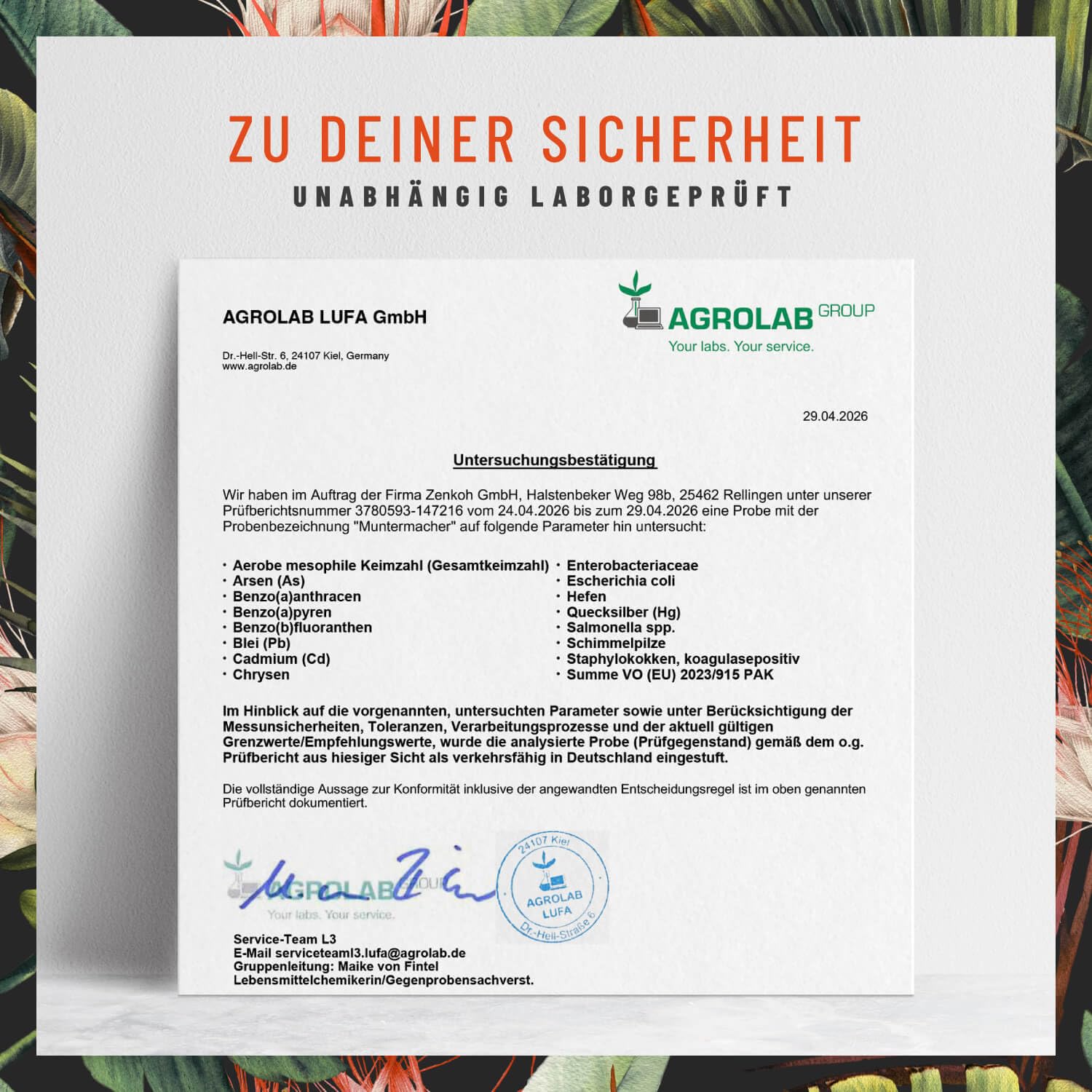Guarana Kapseln mit Mate, Grüner Tee, Grüner Kaffee, L-Tyrosin & B-Vitaminen - Über 100mg Koffein - Koffeintabletten vegan & natürlich - Muntermacher 120 Koffein Kapseln hochdosiert