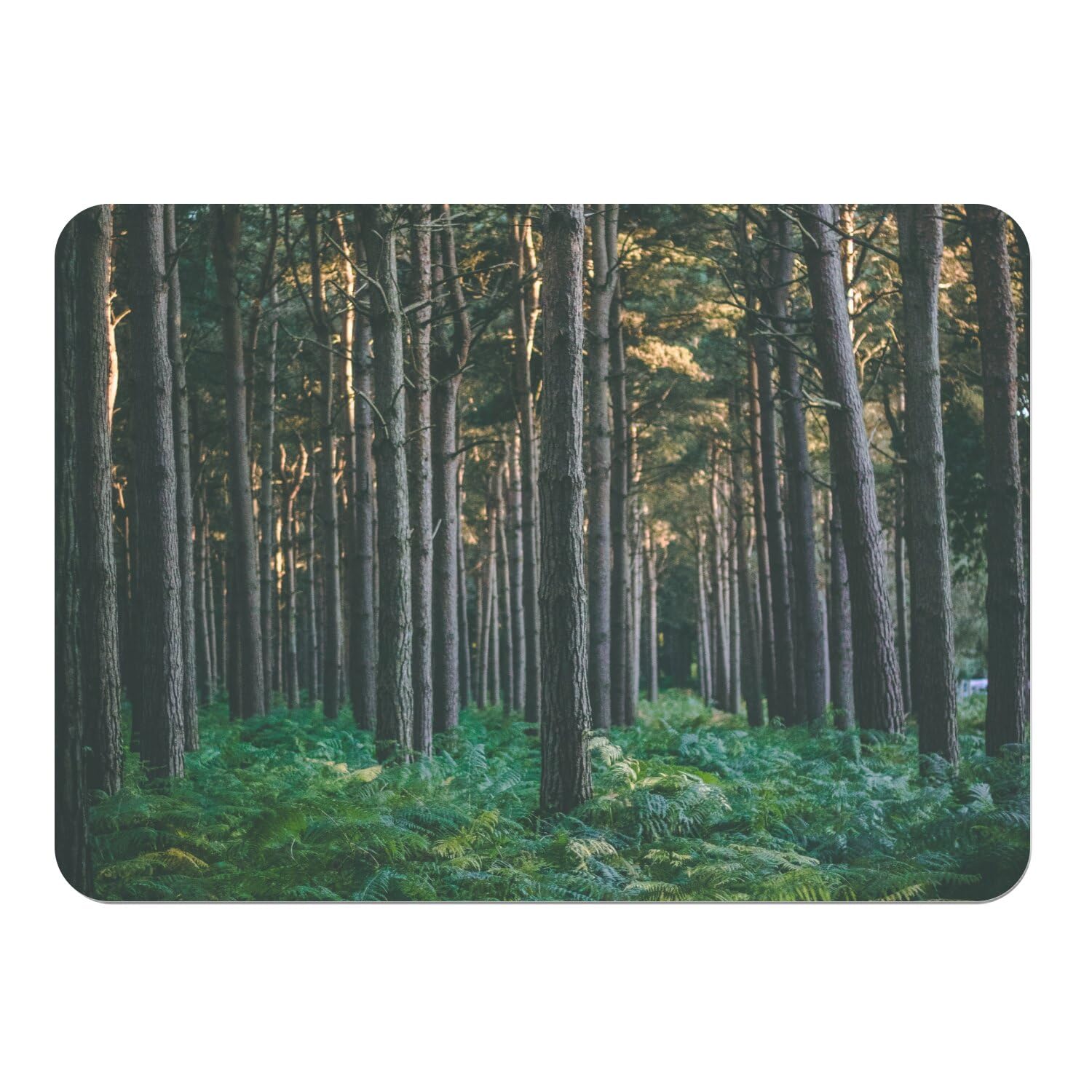 Sets de table souple liège forêt de pins napperons paysage naturel 39,5 cm