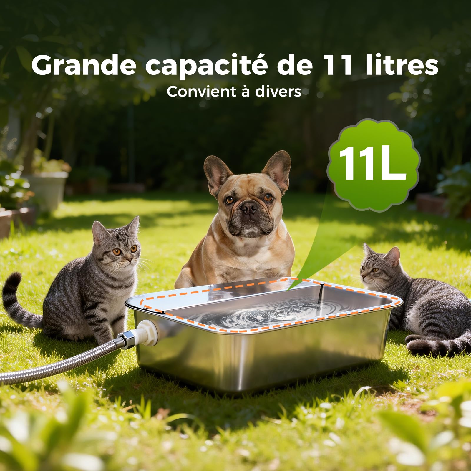 Abreuvoir Automatique pour Chiens, Distributeur ExtéRieur en Acier Inoxydable de 11 litres pour Grands Chiens, Chevaux, Canards, Poulets et BéTail (39 X 29 Cm)