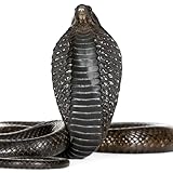 serpent cobra gt-e rtr Fun for all ages Guess The Snake