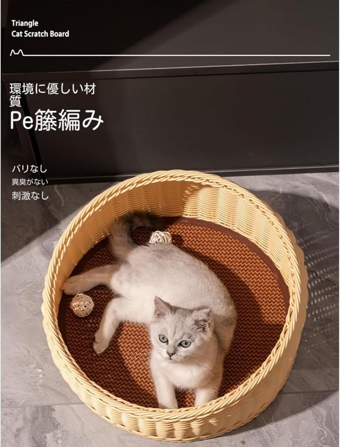 金環ソテツ 2.5号ポットつき 金環ソテツ 2.5号ポットつき 極上柄❗ ② 金環ソテツ 2.5号ポットつき 金環ソテツ 2.5号ポットつき 極上柄❗ ②