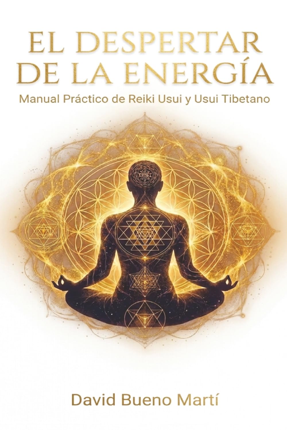 EL DESPERTAR DE LA ENERGÍA: Manual Práctico de Reiki Usui y Usui Tibetano
