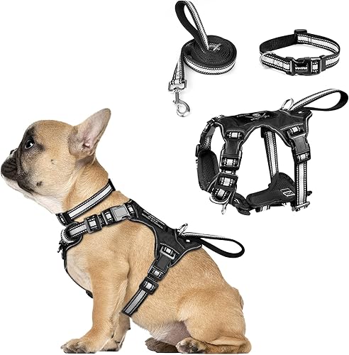 Miniatura 20 de WINSEE Juego de arnés para mascotas, collar y correa, arnés reflectante todo en uno para perro, sin tirones, con hebillas ajustables para cachorros