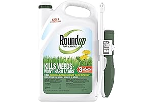 Roundup for Southern Lawns Ready-to-Use with Extended Wand