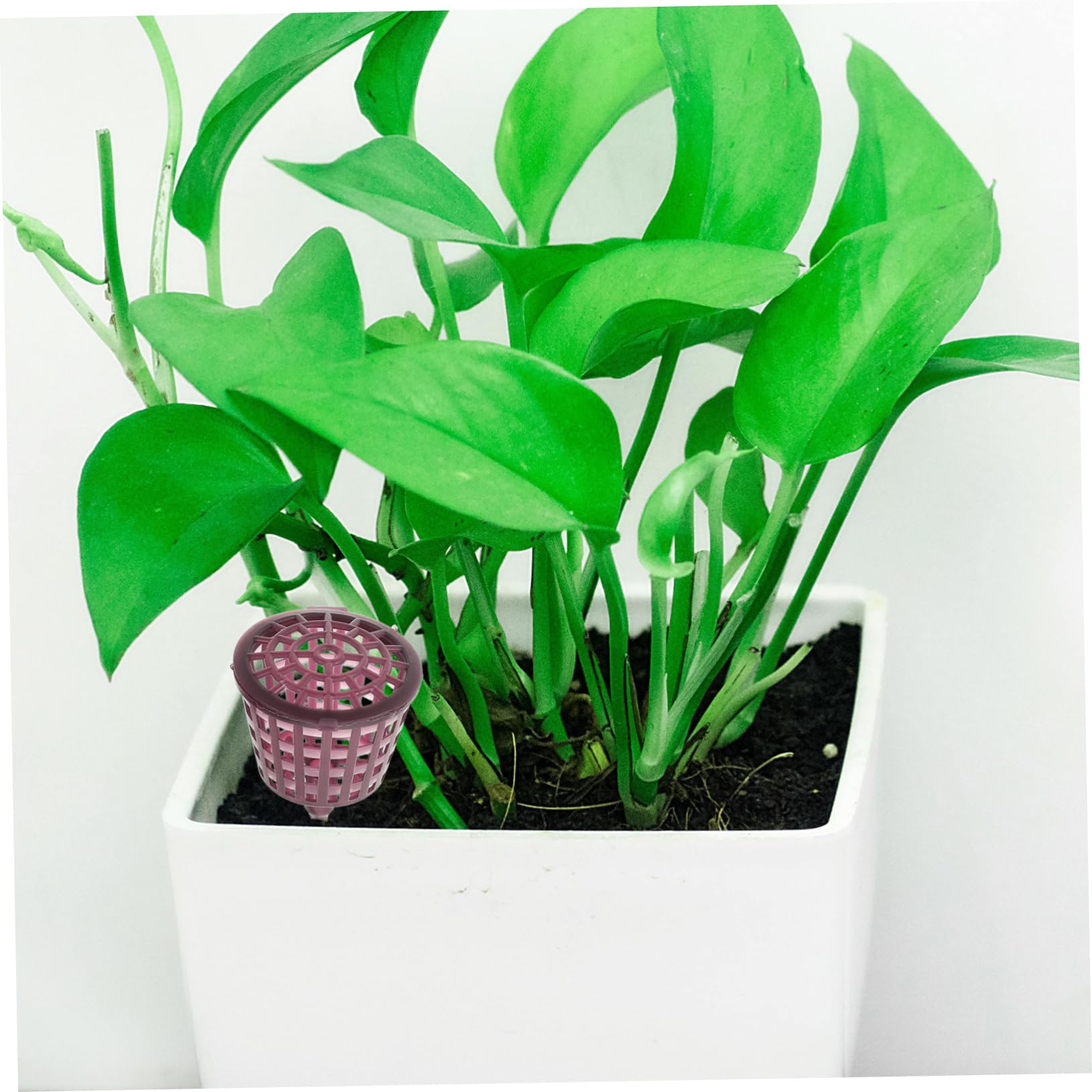Sosoport Panier D'engrais pour Bonsaï 10 Pièces en Plastique Pourpre | Boîte à Couvercle, Réutilisable, Usage Jardinage et Bonsaï, Protège L'engrais