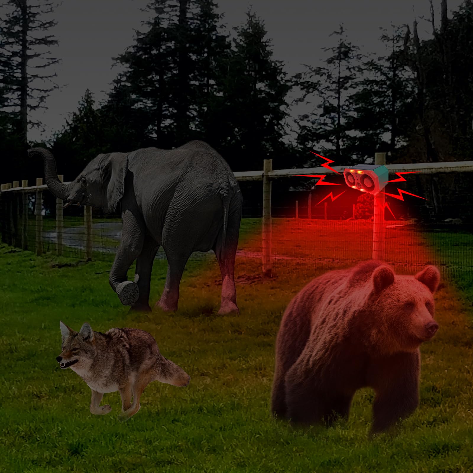 Winnes Marderschreck, Katzenschreck, Hundeschreck, Ultraschall Tierabwehr mit Solarbetrieb und Blitz gegen Katzen, Hunde, Vögel, Füchse, Ratten, Marder