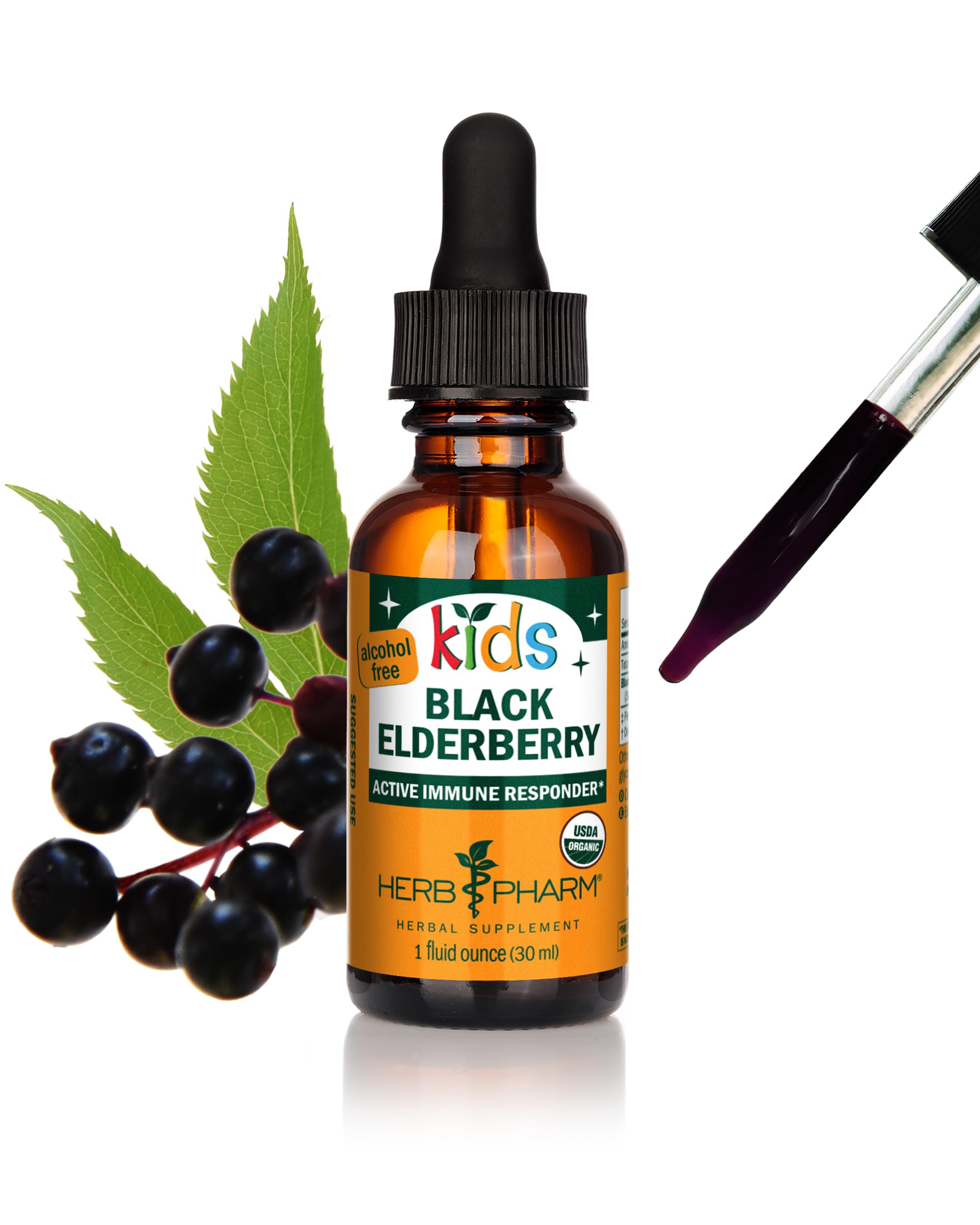 Herb Pharm Kids Certified-Organic Alcohol-Free Black Elderberry Glycerite Liquid Extract, 1 Ounce (GLKELD01)