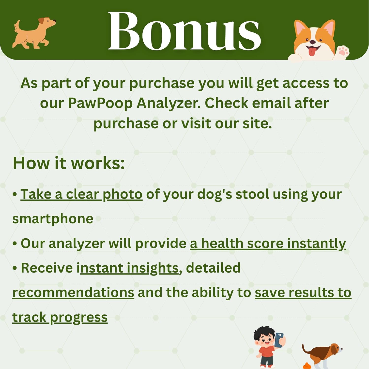 Dog Probiotic Powder – Gut Health Probiotics for Dogs with Digestive Enzymes, Prebiotics & Pumpkin – Supports Firm Stool, Diarrhea Relief, Immune Boost – Natural Dog Gut Health Powder