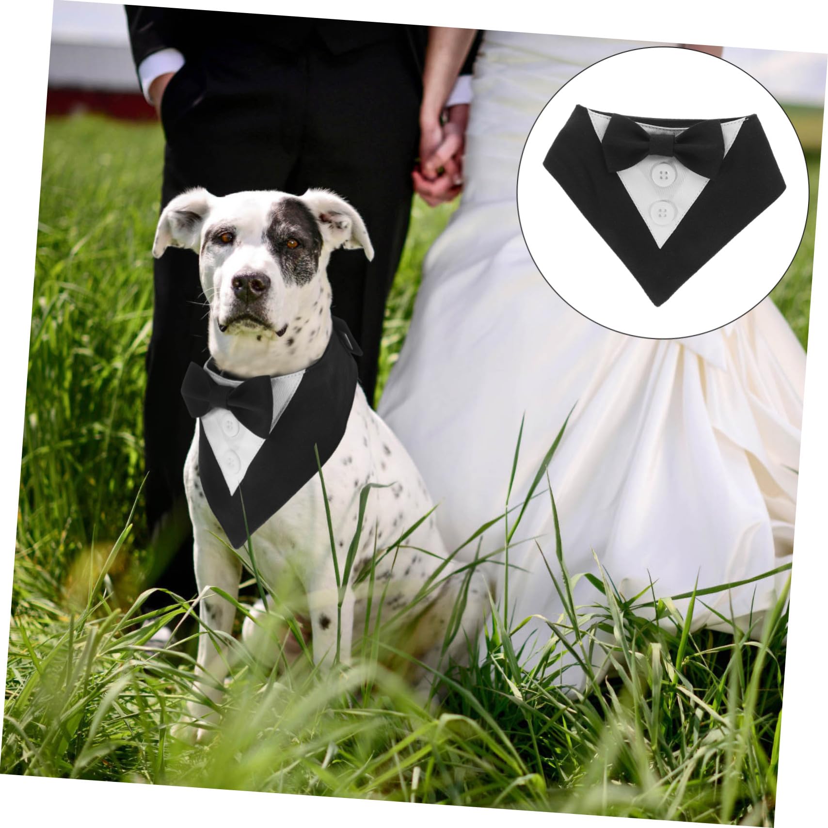 VICASKY 5 Pièces Bandana Formel pour Chien Noir XS Foulard Décoratif de Mariage et Costume Anglais pour Chiots Accessoire Pratique et Élégant pour et Photos