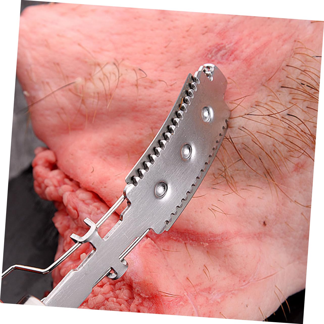 PRETYZOOM 3sets Hair Remover for Poultry Pig Meat Pet Farm Kitchen Metal Scraping Tool Manual Hair Epilator 2pcs*3