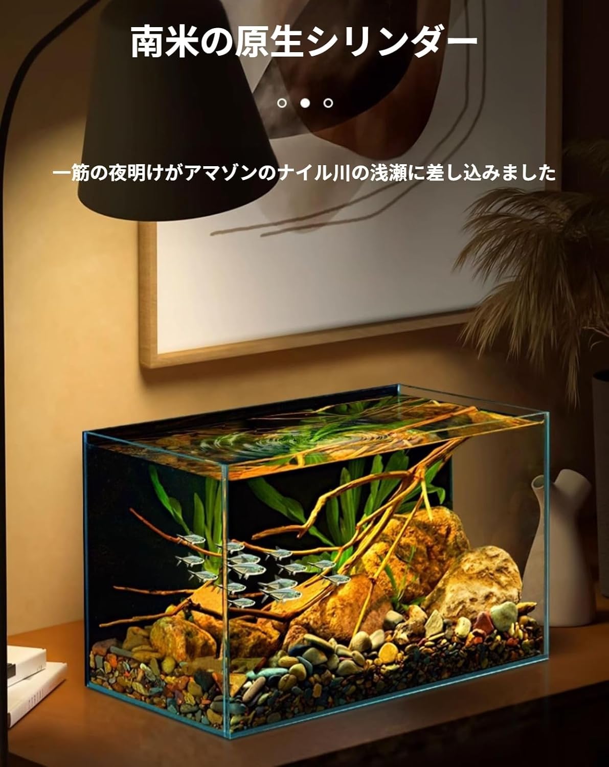 Dazzix金魚水槽【2025新しく登場】 クリア 金魚アクアリウム スクエア