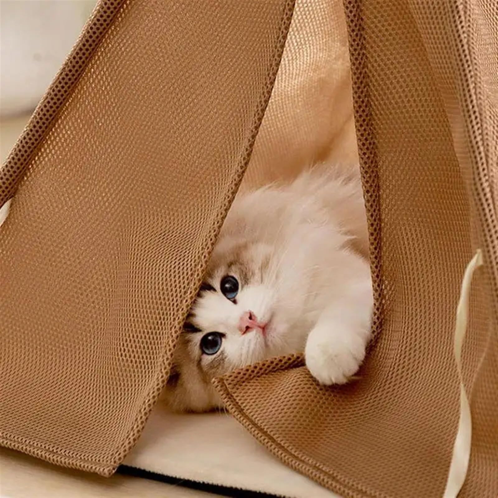 Tenda per animali domestici Cuccia for gatti da interno Cuccia for animali domestici da interno Tenda for gatti Design semi-chiuso Piccola cuccia for gatti da interno for cani, conigli, gatti e altri(