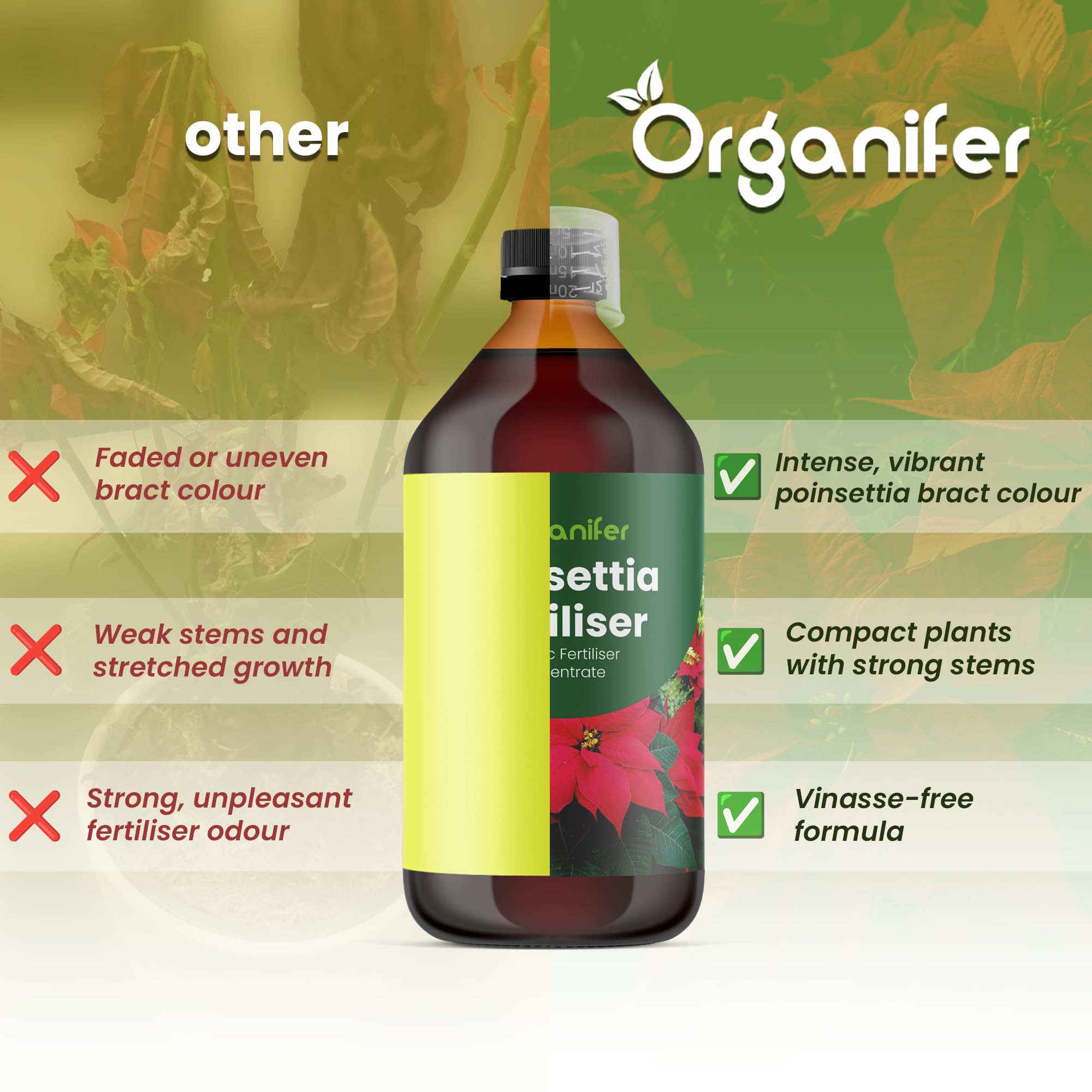 Poinsettia Nawóz Organiczny Do Kwiatów - 5x1L - NPK 2-1-8 | Zdrowe Liście - Silne Korzenie I Wysoka Plonność - Organifer