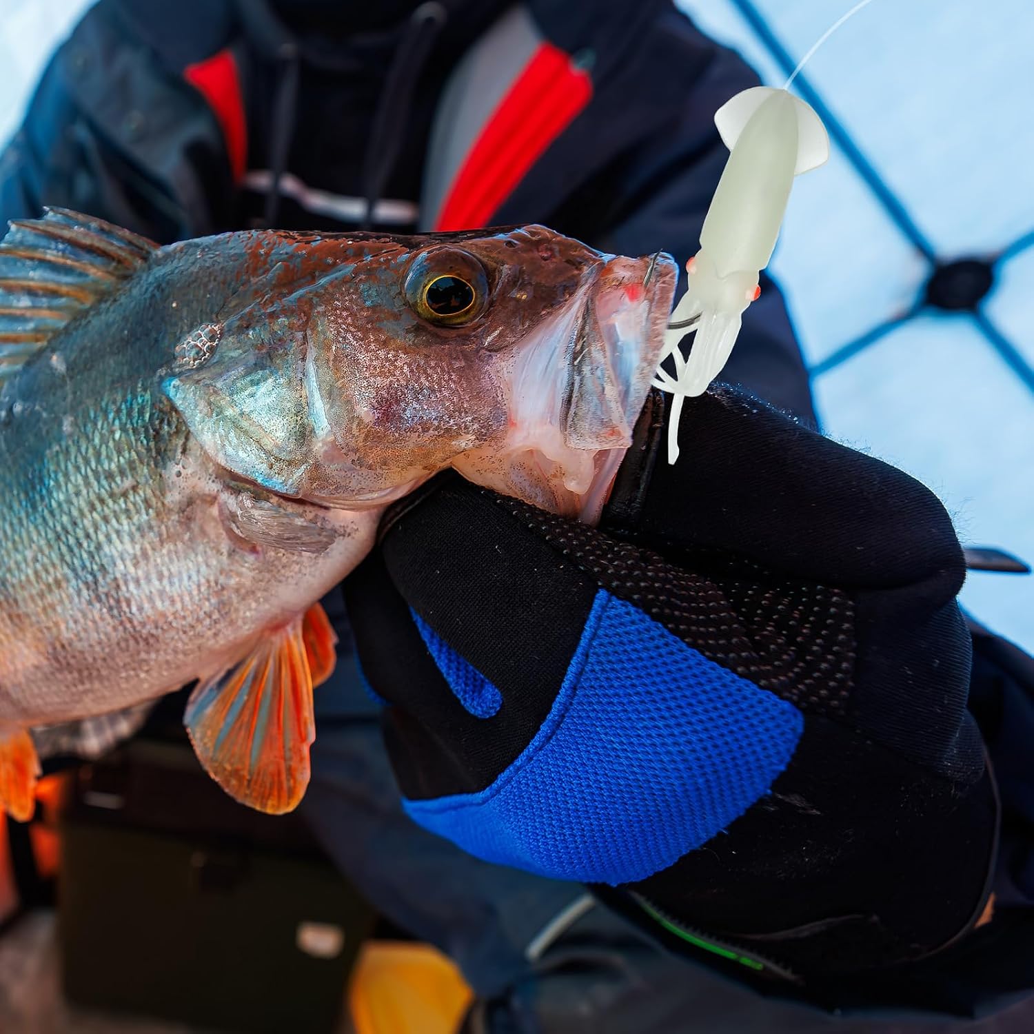 12 Sets Cod Squid Halibut Rigs with Glow Luminous Skirts, Includes 4.5-inch Ball Squid Lures Jigs and 7/0 Hooks, 50-Pound Leader, for Deep Sea Saltwater Fishing, Lingcod, Rockfish