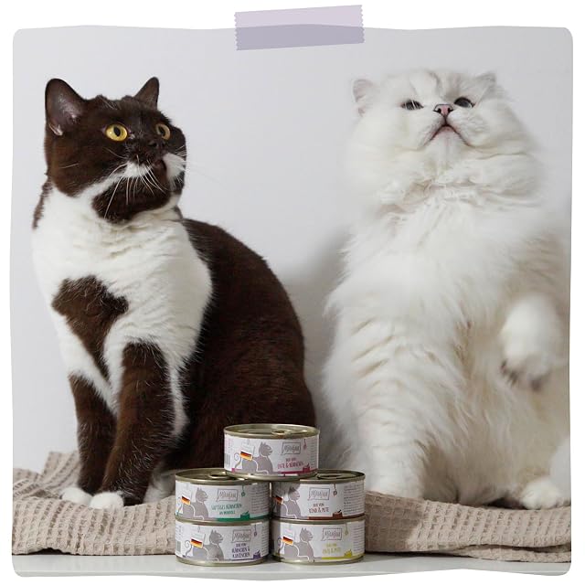 Foto 6 de 6 de MjAMjAM - Comida húmeda Premium para Gatos