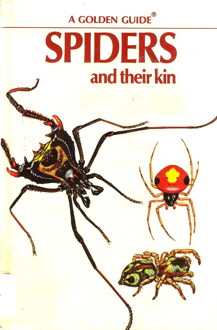 Buy Spiders and Their Kin (Golden Guide) — BookShops.in