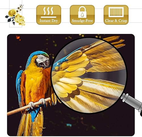 Miniatura 5 de A-SUB Papel fotográfico brillante y brillante prémium de 11 x 17 pulgadas