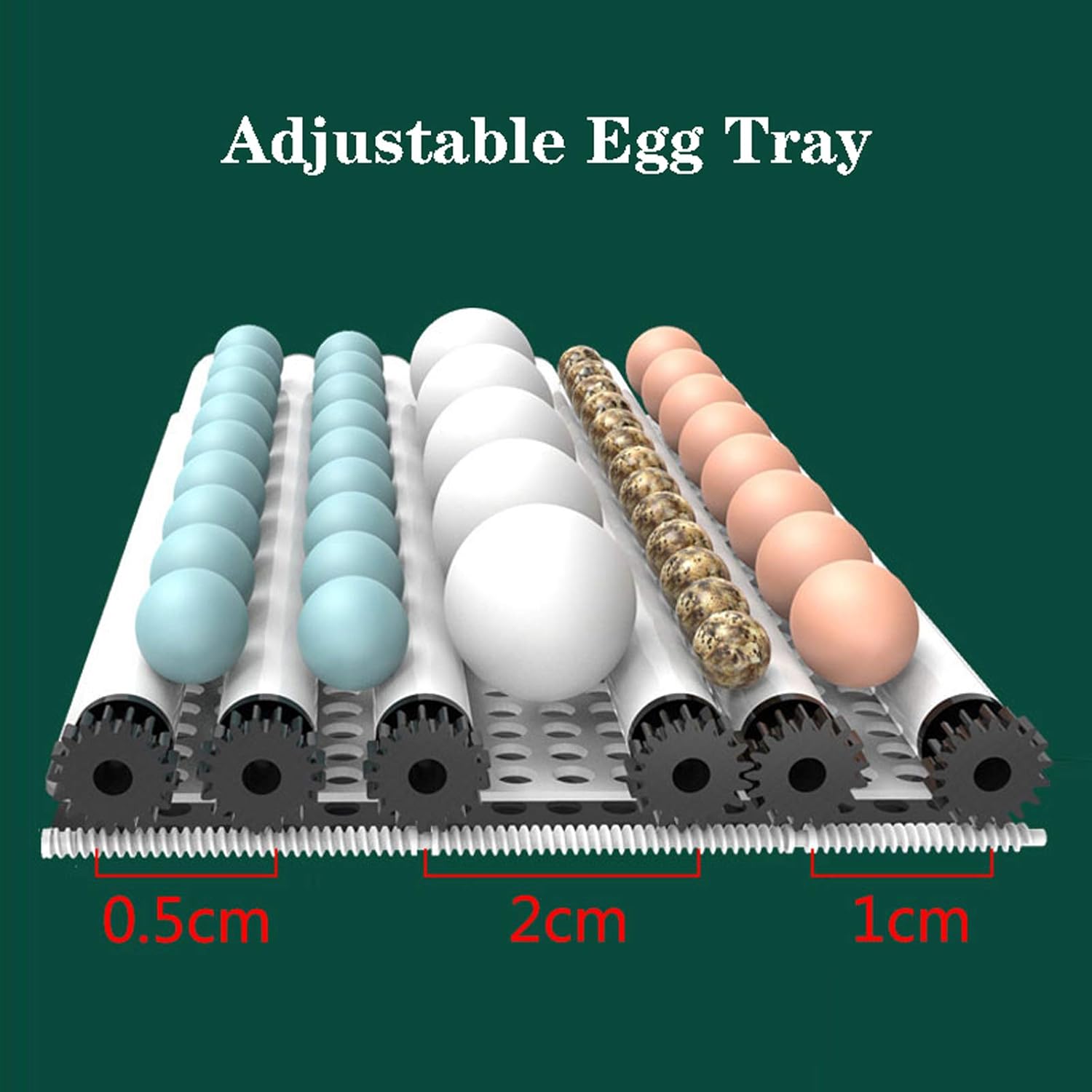 Automatic Egg Incubator 36~72 Eggs Poultry Hatcher with Automatic Egg Turning and Temperature Humidity Control for Chickens Ducks Goose Others
