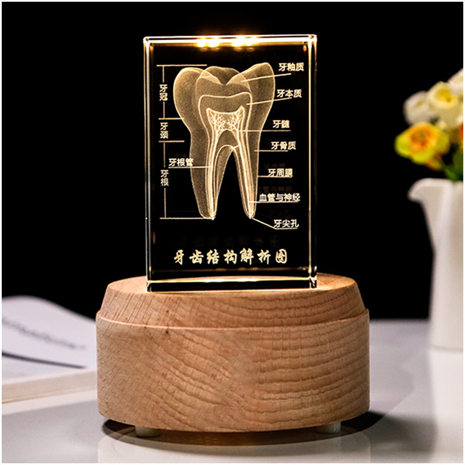 3D クリスタル　歯 3D クリスタル歯