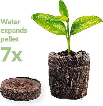 Jiffy Plant Starter Pellets - Seedling Pellets, 50 mm Peat Pellets, 80 Count - Peat