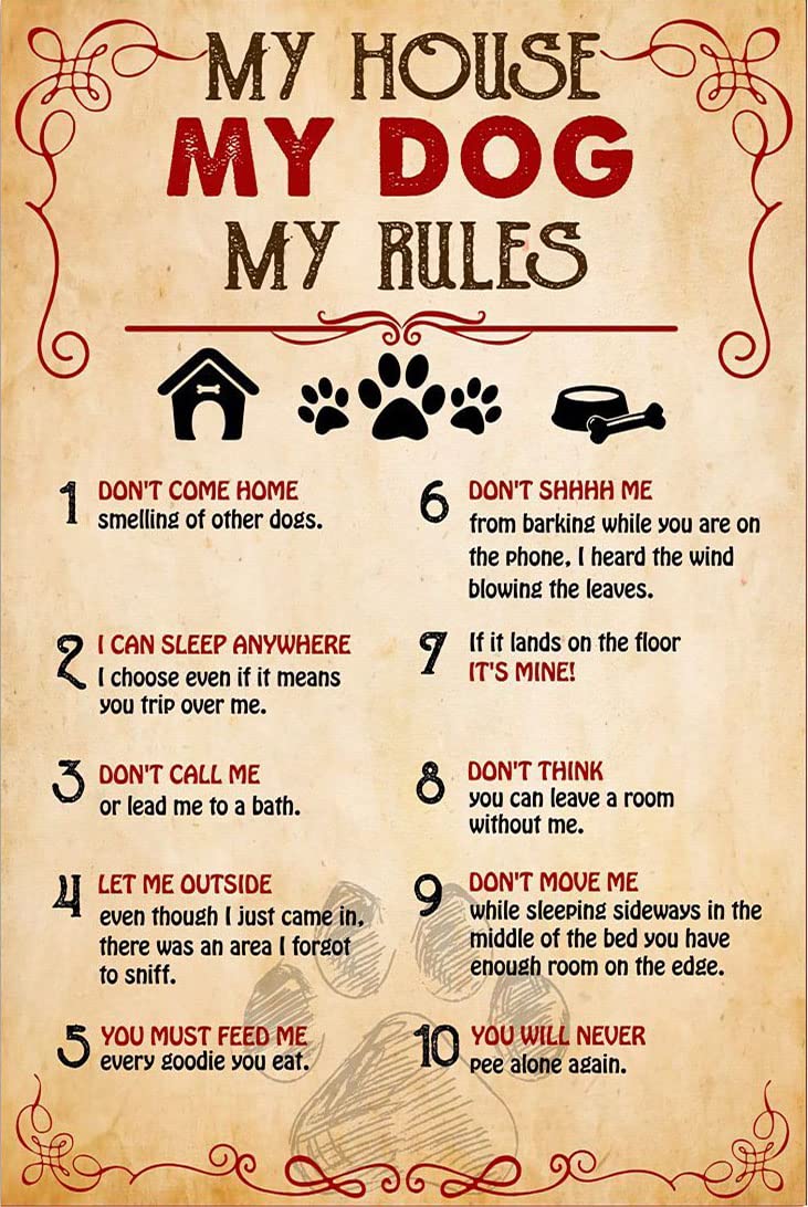 Yunking Style-120 Metal Tin Sign My House My Dog My Rules Poster Vintage Home Wall Sign Plaque Parlor Bedroom Living Room Courtyard Wall Decor 12X8 Inch
