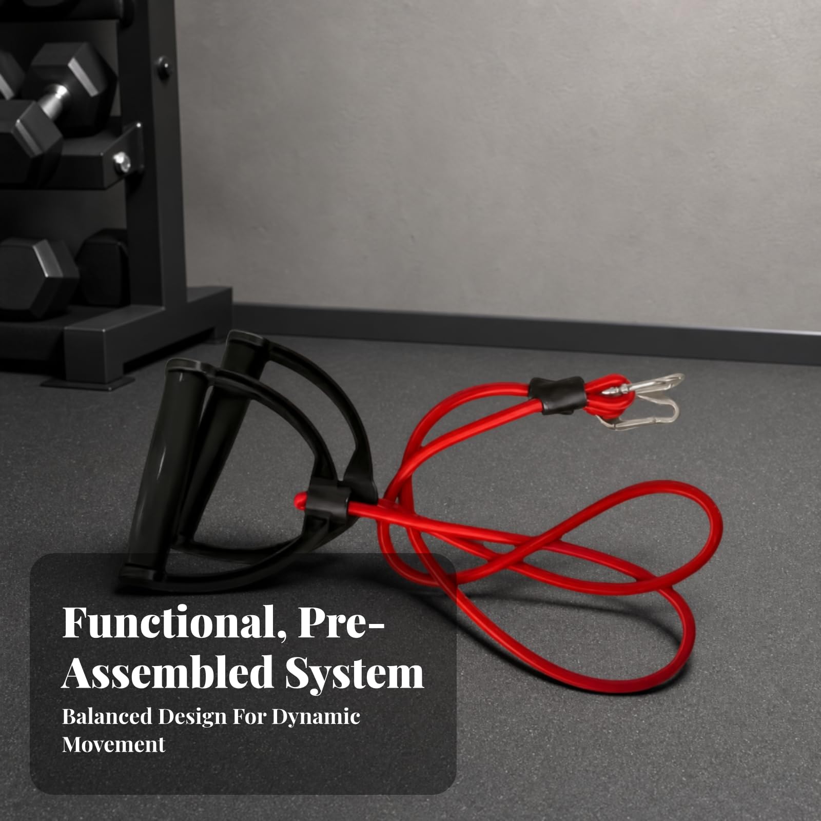 Reißfest Expander mit Metallkarabiner | Fitnessseil mit Handgriffen, vielseitig, Expanderband, für Heimtraining, unterwegs