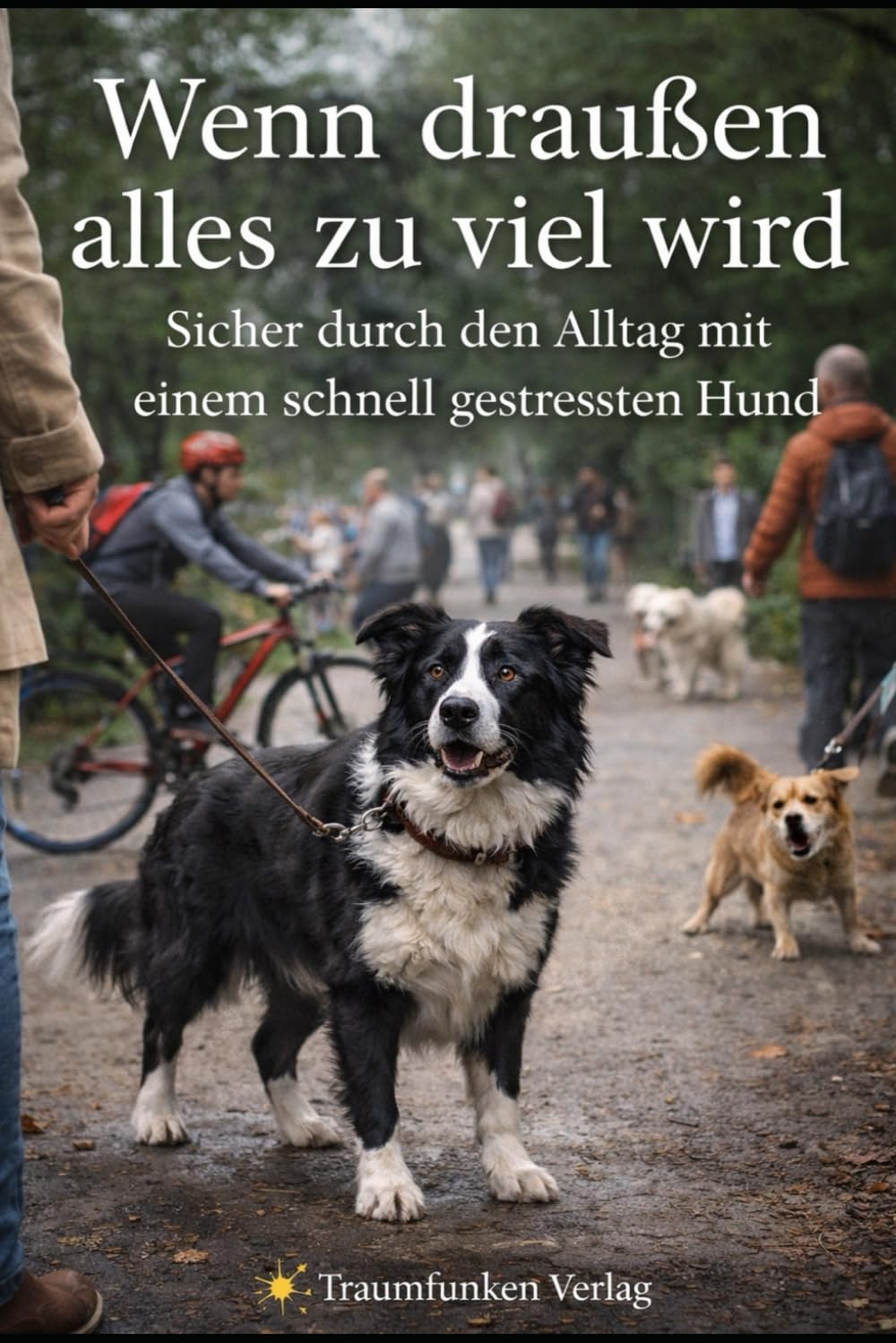 Wenn draußen alles zu viel wird: Sicher durch den Alltag mit einem schnell gestressten Hund