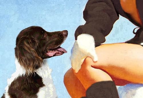 Miniatura 6 de Steamboat Springs Colorado Snow Ski Poster Bretaña Spaniel Pin Up Art Print 328 (tamaño 24 x 36 pulgadas)