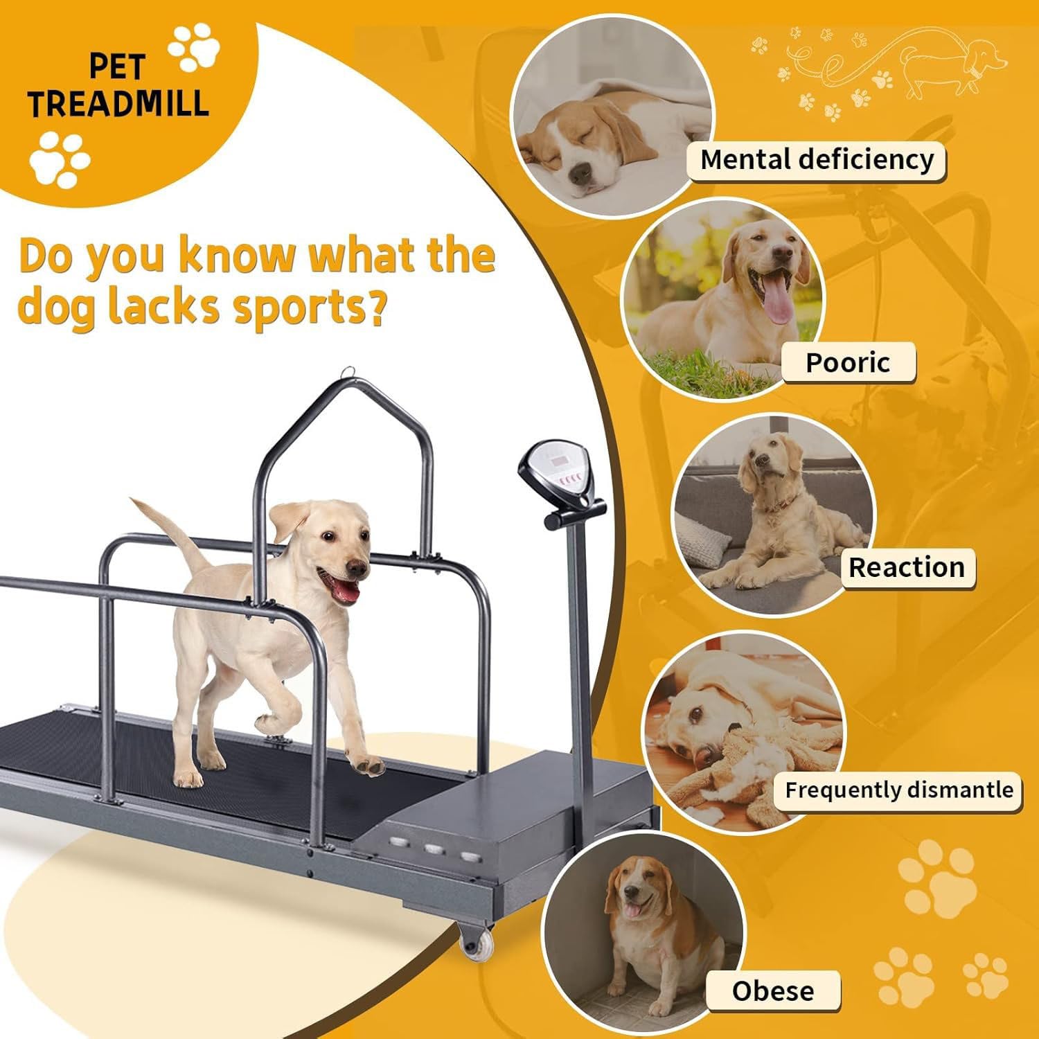 Cinta de Correr para Perros Grandes y medianos, Equipo de Ejercicio para Mascotas, con Pantalla LCD, Velocidad de 0,8 a 12 km/h, para Entrenamiento en Interiores y Exteriores A