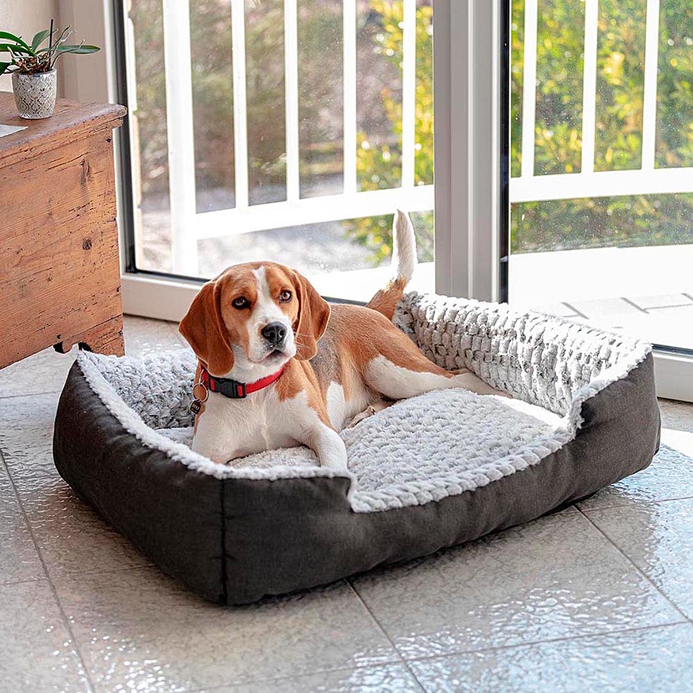 Ferplast Cama para Perro Cojín para Perros Grande Cama para Gato Cojín para Gato Suave y CómodoColchón Perro y Gato Lavable 55 x 48 x h 18 cm. Gris