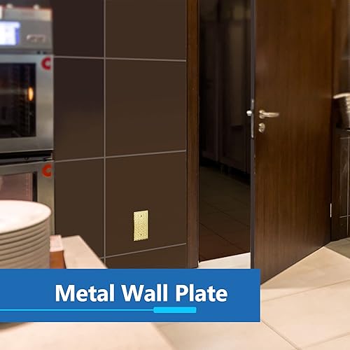 Vista 134 de LIDER Placa de pared de metal en blanco, cubierta de salida de acero inoxidable, resistente a la corrosión, tamaño mediano de 1 banda, 4.88 x 3.11