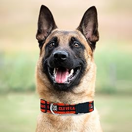 New & Improved Pets First NFL Licensed PET Collar- Heavy-Duty, Strong, and Durable New Dog Collar. Available in 32 Football Teams and 4 Sizes