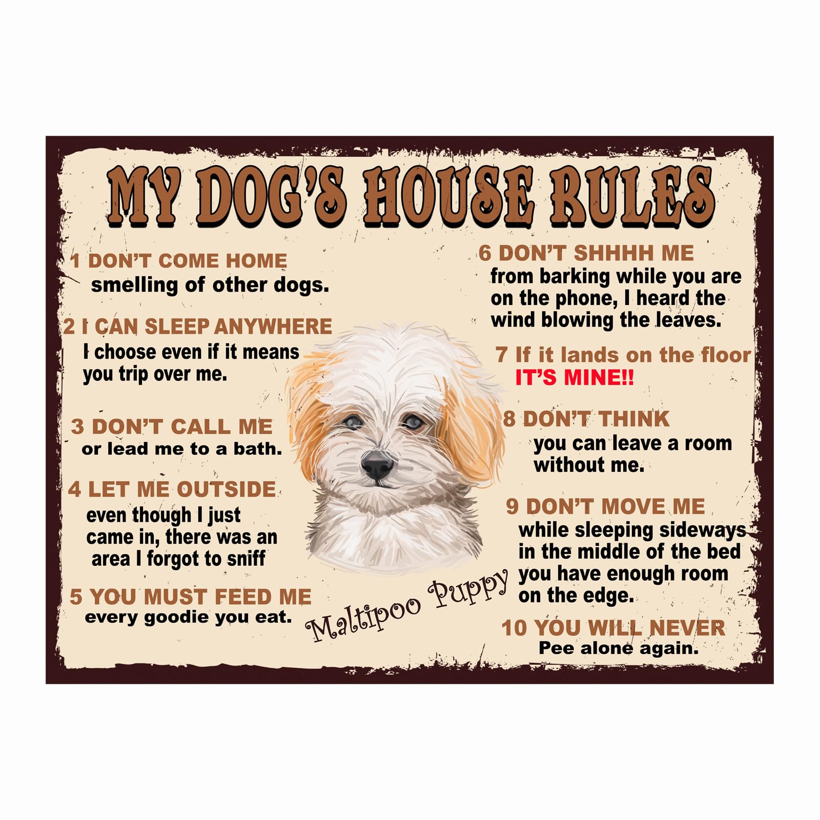 MY DOG'S HOUSE RULES MALTIPOO PUPPY THEME METAL RETRO STYLE PLAQUE/SIGN HOME DECOR SHABBY CHIC ART (10" X 8")