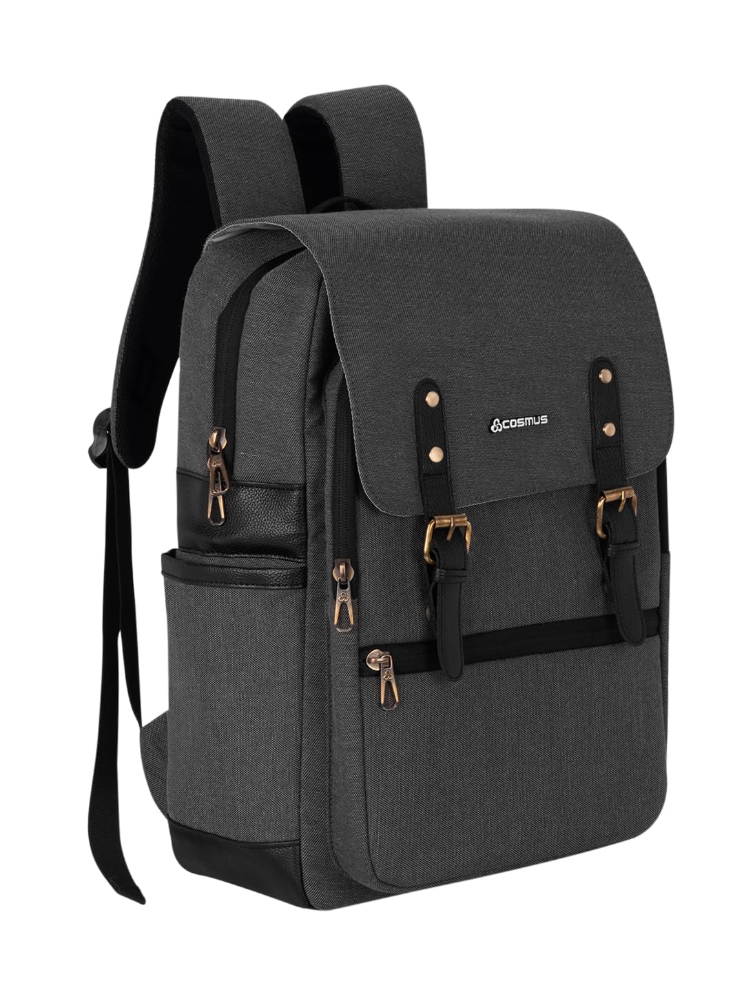 COSMUS RIPON Casual Travel College Laptop Backpack Dark Grey Dual Compartment 24 litres Bag (B0CKX9TXDW) Amazon Price History, Amazon Price Tracker