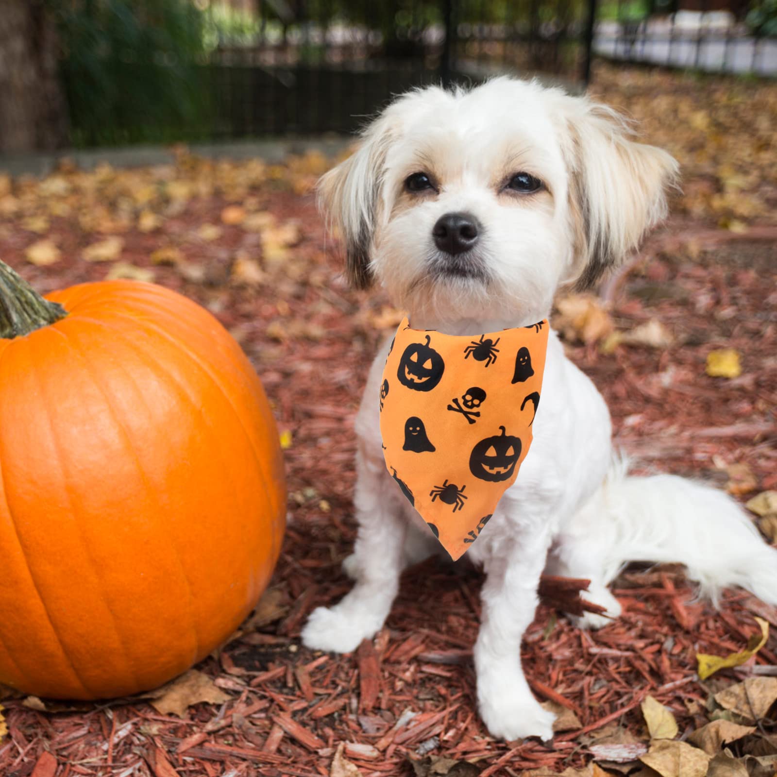 Bandany dla psa na Halloween, 2 szt. zmywalnych halloweenowych czarownic wzór dyni szalik dla psa, regulowana trójkątna chusta dla kota psa, akcesoria do kostiumu dla szczeniaka małych i średnich dużych psów