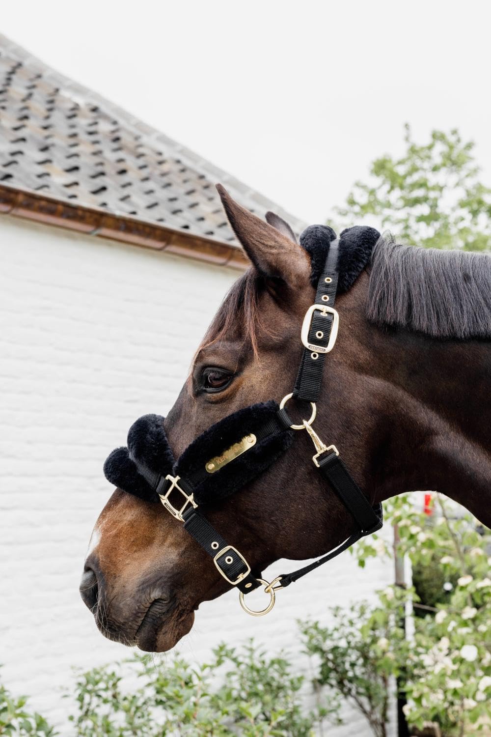 Kentucky - Halfter COB - Schwarz - Vegane Wolle