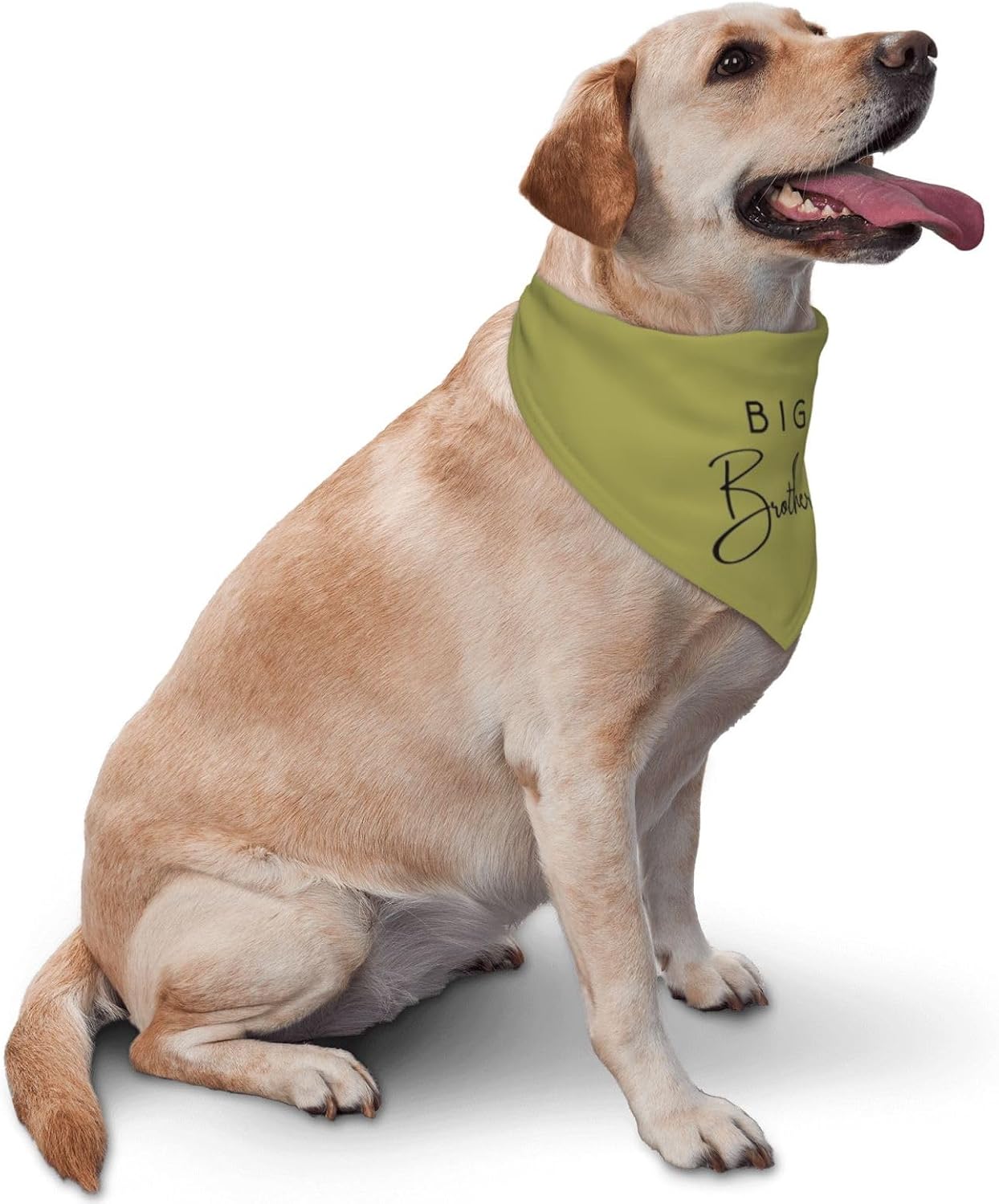 Big Brother Dog Bandana,Pregnancy Announcement,Gender Reveal Pet Scarf Accessories for Dog Lover Gifts (Sage Green) image 2