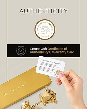 完売‼️ ALL ROSES LIVING PROOF Dash  完売‼️ ALL ROSES LIVING PROOF Dash Amazon.com: Forever Rose