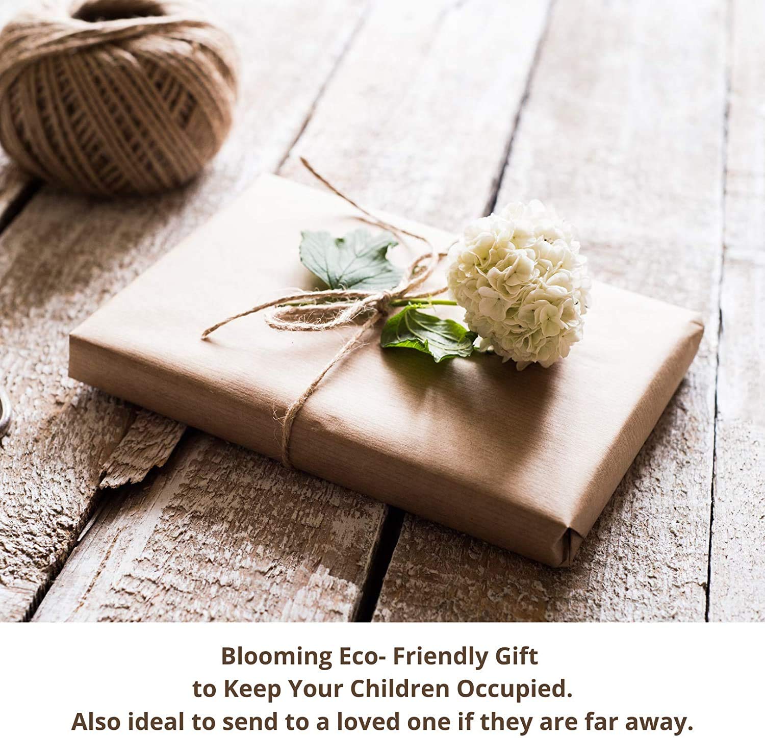 Kids Gardening Set, Grow Your own kit for Children, Wildflower Seeds