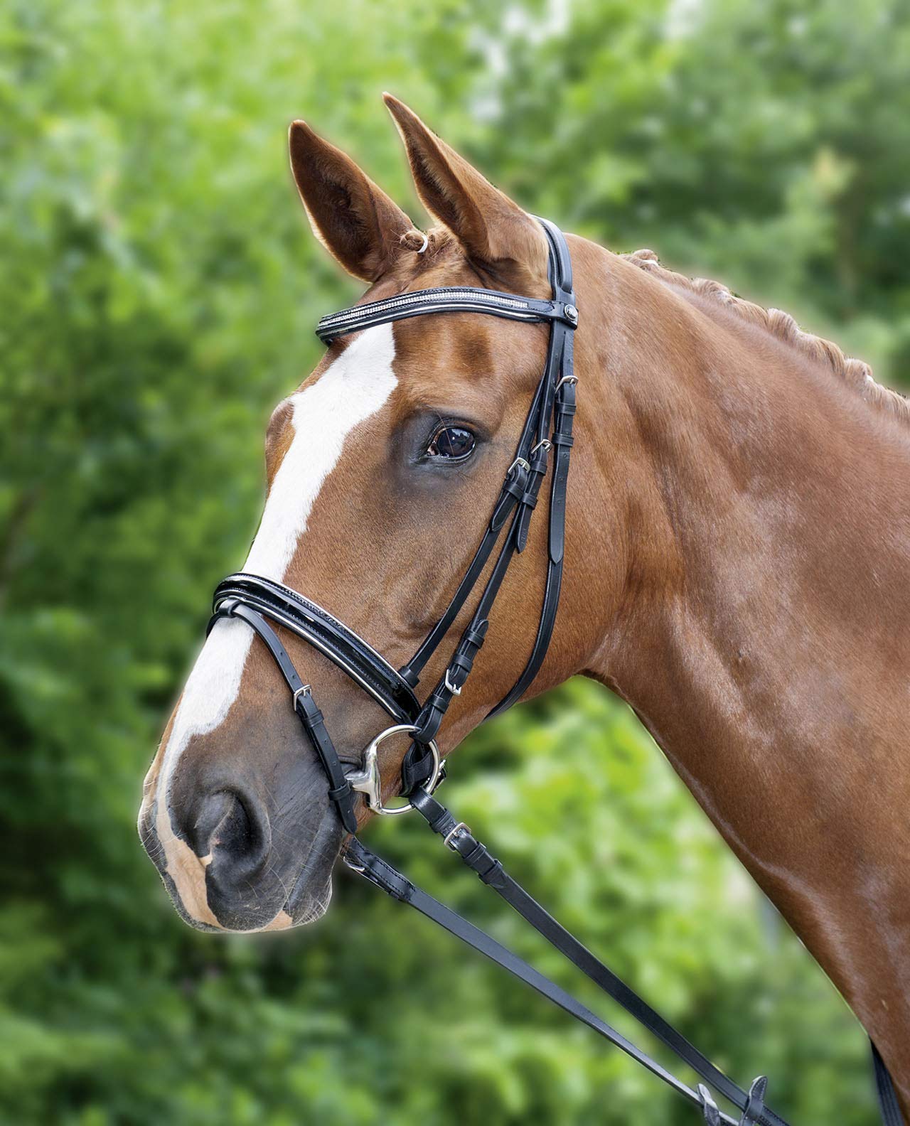 HKM 76179171.0644 Lydia - Brida para Caballo