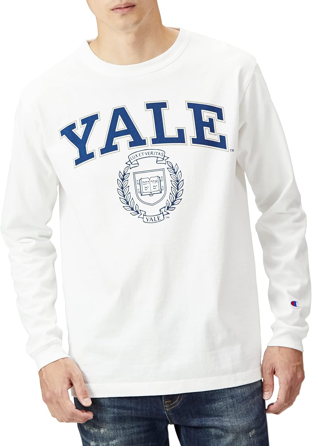 JR E2系 新幹線 ガイシ ロゴマーク仕上品 あさま 東日本 室内灯別売