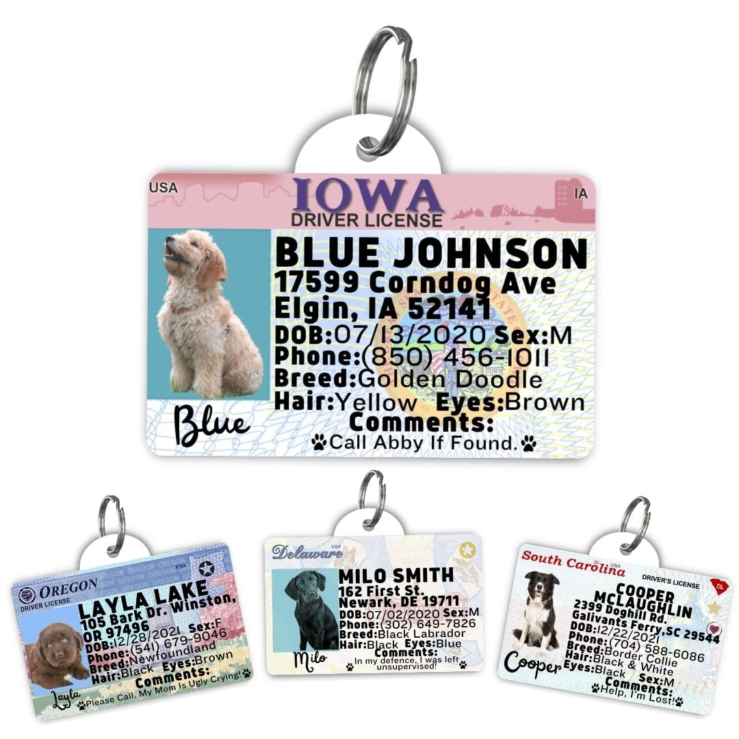 Driver License Custom Dog Tag for Pets and Wallet Card - Dog Tags for Dogs - Dog ID Tag - Personalized Dog ID Tags - Cat ID Tags - Pet ID Tags for Cats - Personalized Pet ID Tags (Iowa, Tag)