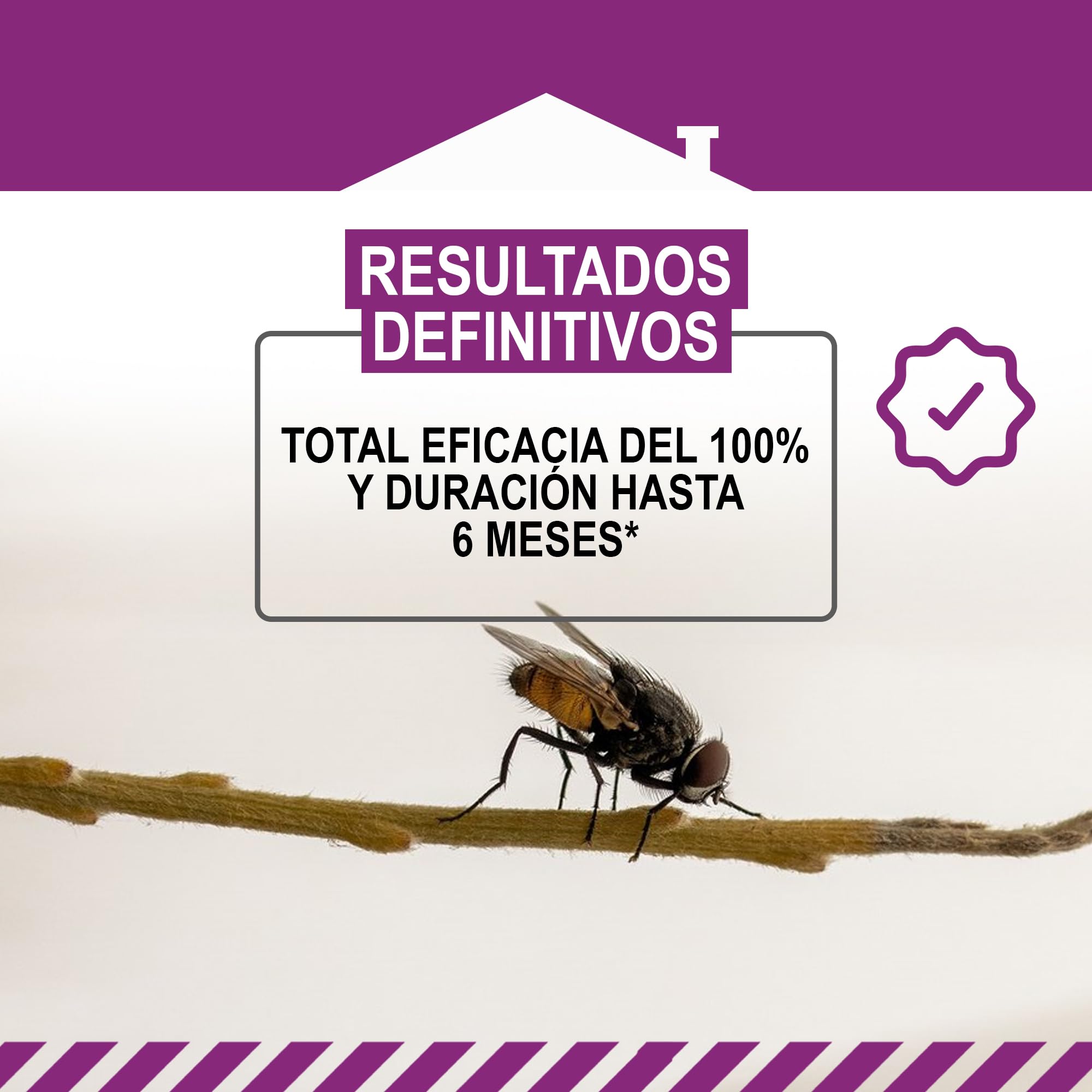 Insecticida Moscas, Mosquitos, Avispas, tábanos, Mosquito Tigre y Polilla de Ropa - 6 Meses de Duración - Elimina Insectos Voladores por Contacto
